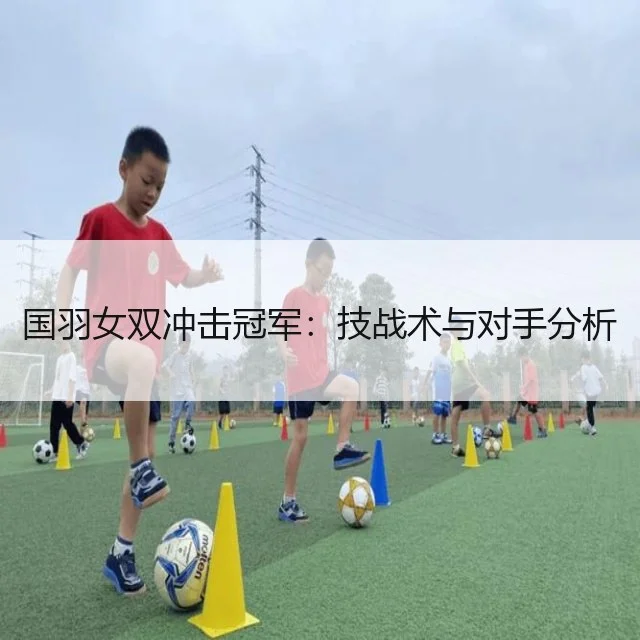 国羽女双冲击冠军:技战术与对手分析